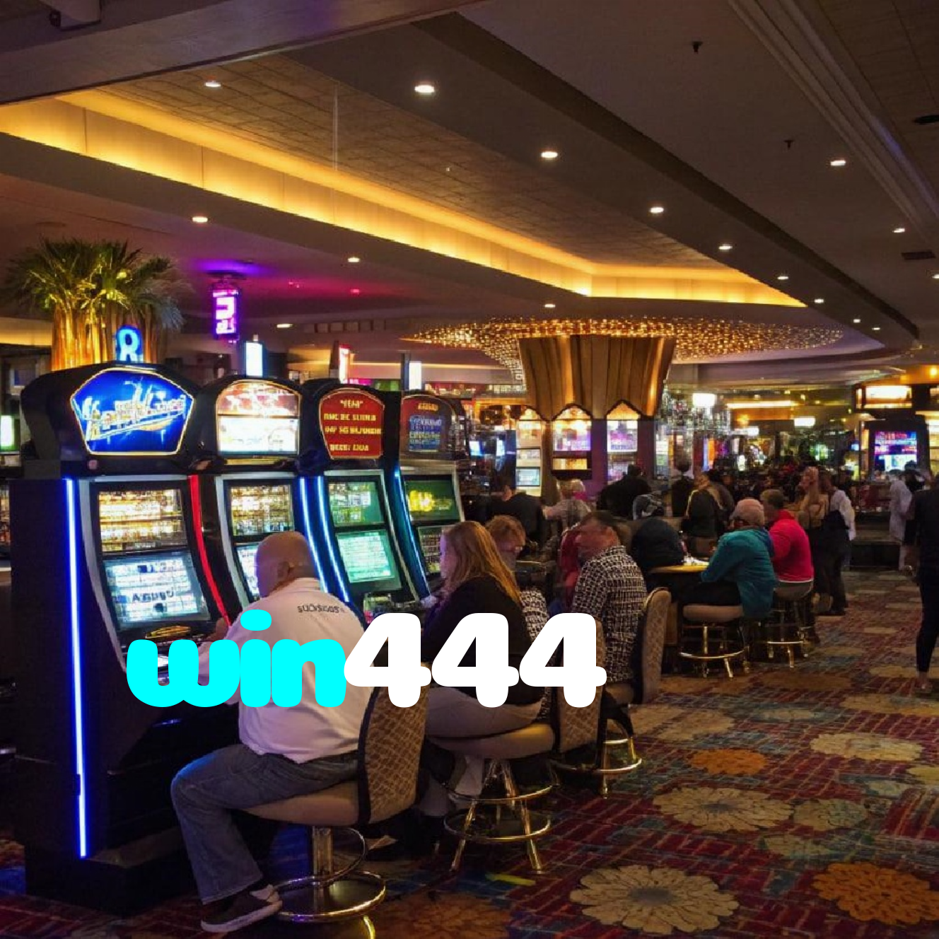 win444