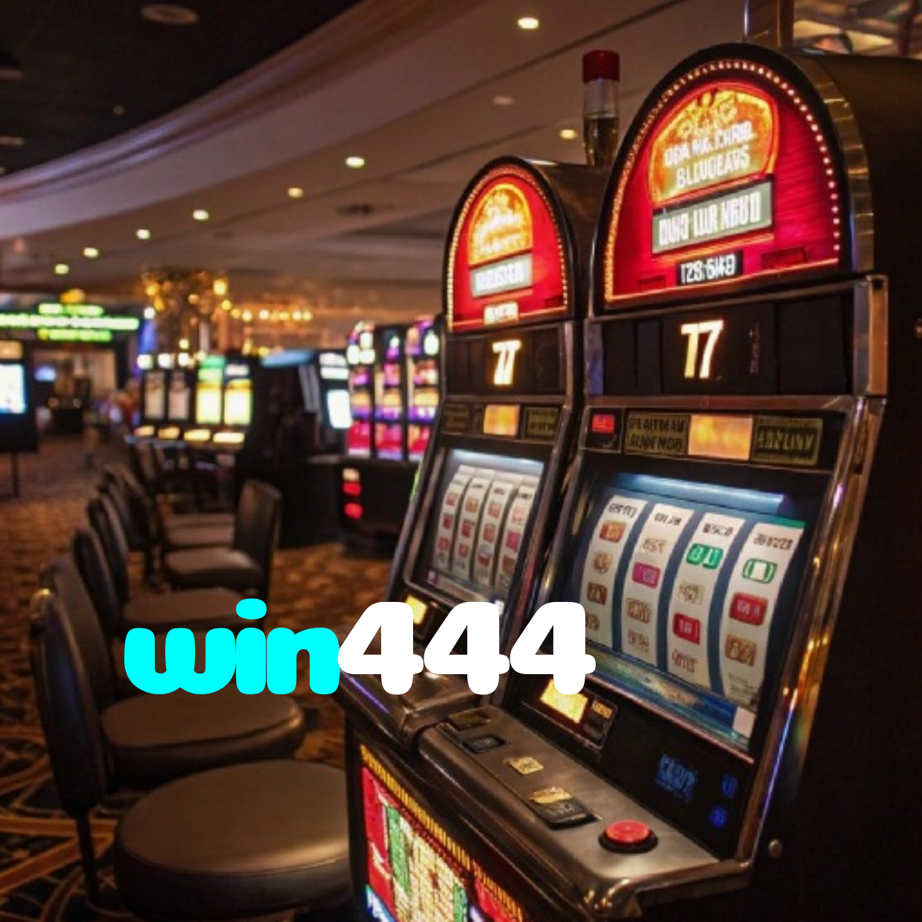 win444